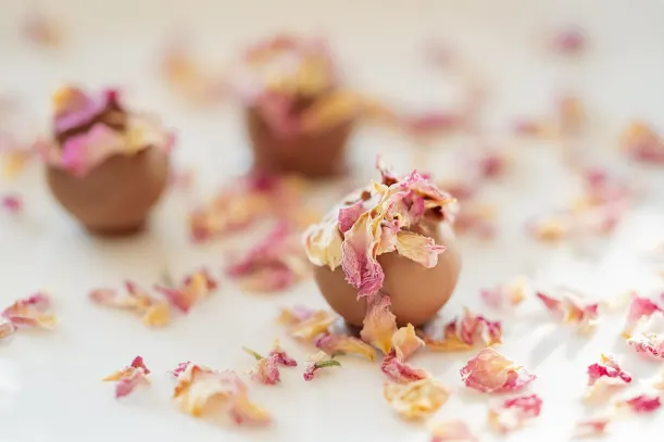 LottoKings Kazino Android/iOS Lietotne